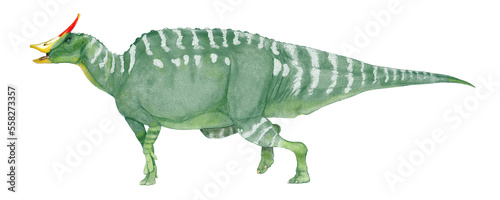 草食恐竜サウロロフス は、カモノハシ竜の呼び名で知られるハドロサウルス科に属する恐竜で、約7000万年前から6,850万年前（白亜紀後期）に生息していた。名称のサウロロフスとは「隆起のあるトカゲ」という意味。ハドロサウルス亜科に属する草食恐竜。体長は9メートル以上、草食性でモンゴルやカナダに生息していた。足には蹄があり、渡りをしたと思われている。
 photo