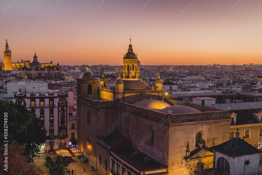 Fototapeta premium city castle at night