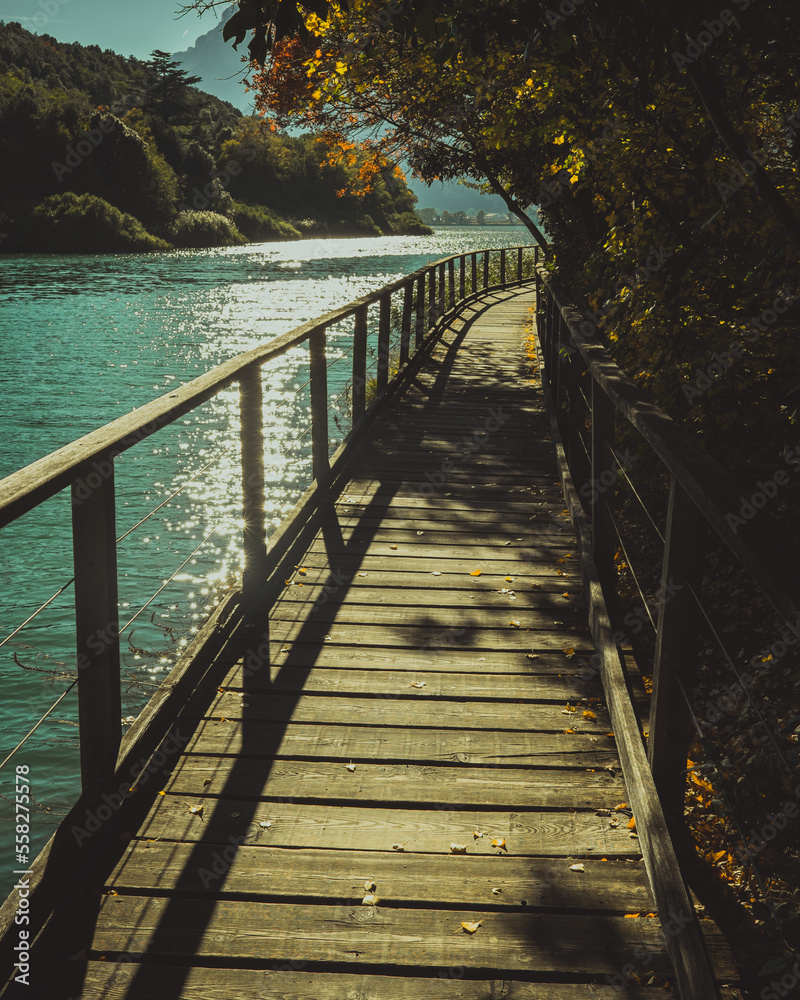 Obraz premium wooden bridge over the lake