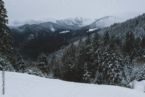 snow covered mountains