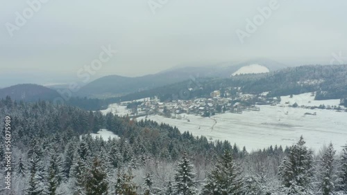 Aerial shot of a typical village surrounded by snowy forest in winter, in Slovenia