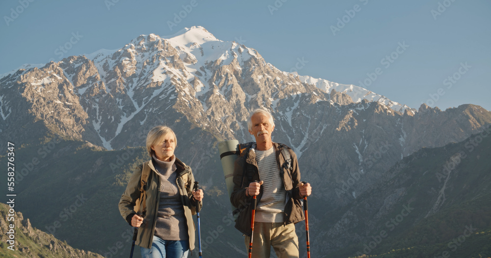 Old caucasian couple having a nordic walking hike in mountains, reaching the top of mountain and victoriously raising hands up, travelling together after retirement - pension, tourism concept 