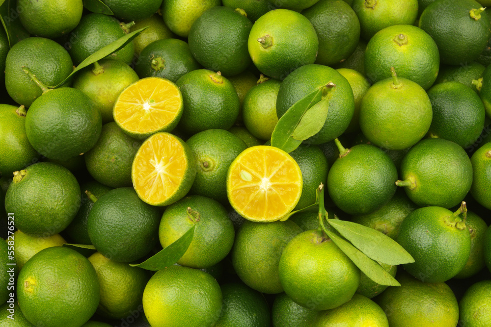 Close up of many fresh ripe limes. Calamansi limes background.