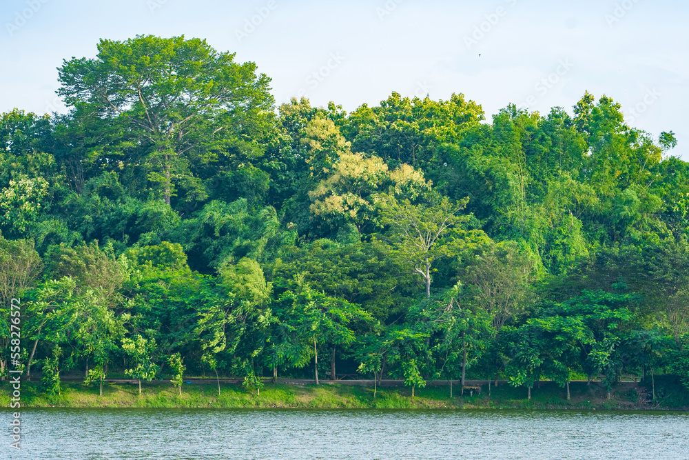 Forests by the dam of Tanjungan, Mojokerto. Indonesia. Forests by the dam of Tanjungan, Mojokerto. Indonesia.