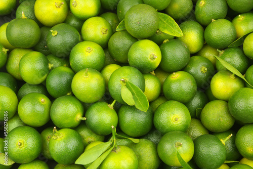 Fresh green limes with leaves as background