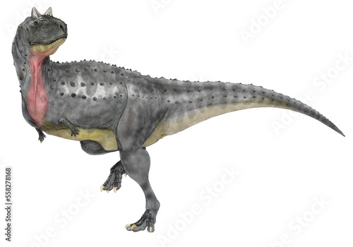 カルノタウルス　恐竜白亜紀後期に現在の南米大陸に当たる地域に生息した肉食恐竜。カルノタウルスの名は「肉食の雄牛」を意味し、独自の身体的特徴を持つこの大陸の肉食恐竜の中で最も知られている。北米大陸で生態系の頂点にあったティラノサウルスのように前足が極端に小さい。歯は鋭いが細かく整列しており、捕食者としての力強さはティラノサウルスに及ぶべくもないが、その怪異で個性的な風貌に魅せられる。