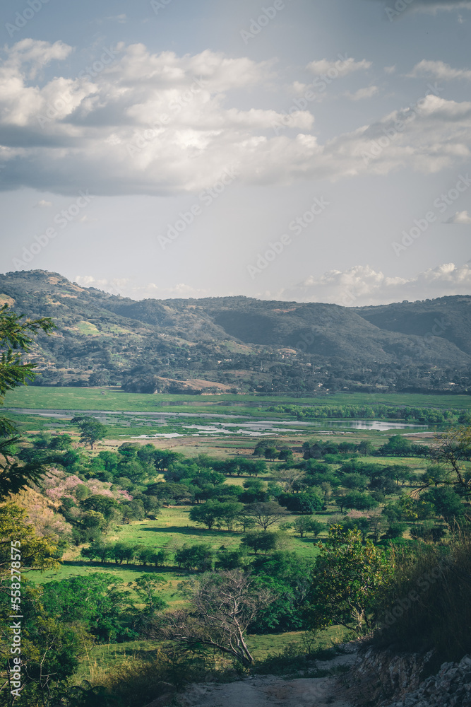 Naklejka premium landscape with clouds