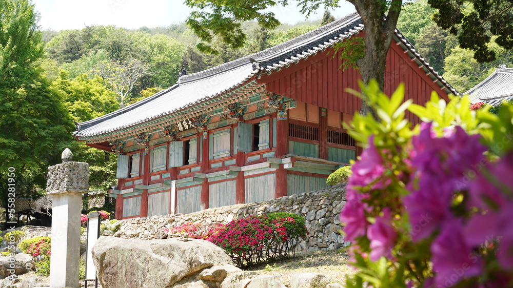 a beautiful temple in Korea