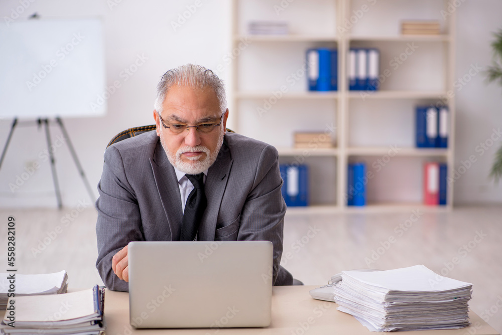 Old male employee working in the office Old male employee working in the office