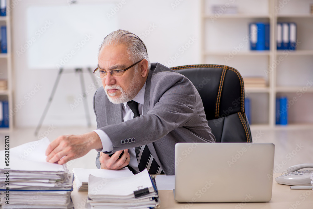 Old male employee working in the office