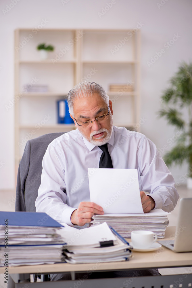 Old male employee working in the office Old male employee working in the office