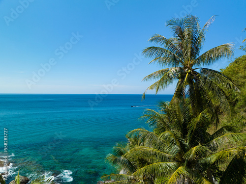 Seashore ocean with coconut palm trees frame nature background, Beautiful nature border frame, Amazing seacoast view background