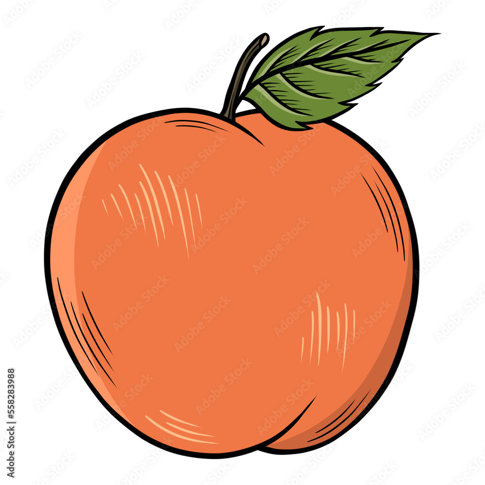 illustration of an orange