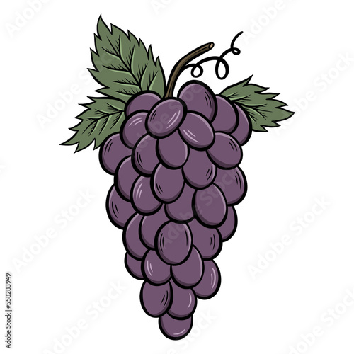 Fotografie bunch of grapes