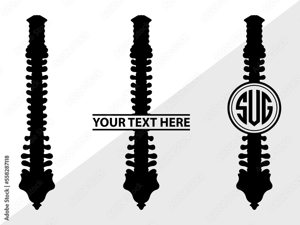Stockvector Anatomy Spine monogram, Anatomy Spine Silhouette, Anatomy