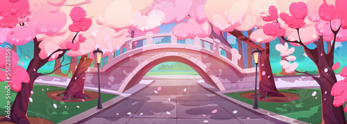 Urban park lane with bridge under blooming sakura trees. Cartoon vector illustration of cherry blossom with pink flowers, street lanterns, alley, green lawn in city garden. Beautiful spring landscape