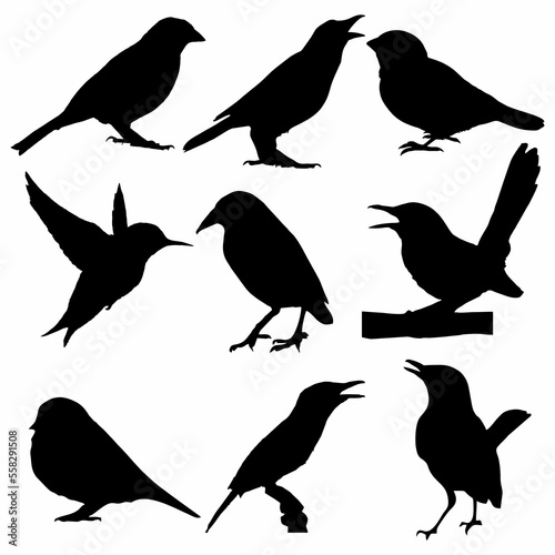 silhouette of bird icon set. Bundle
