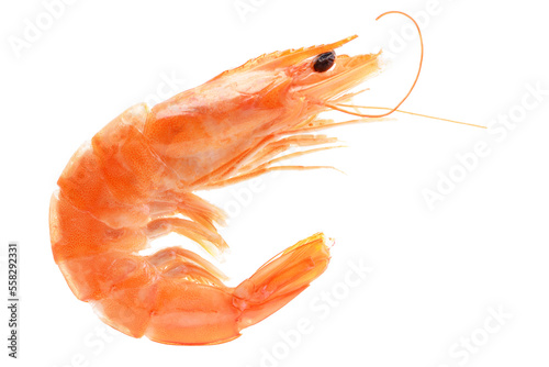Shrimps on white isolated  photo