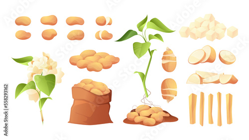 Sliced potato. Cartoon chopped whole peeled rings french fries chips tuberous crop, healthy ripe vegetable products. Vector isolated collection of potato ripe, food vegetable chopped illustration