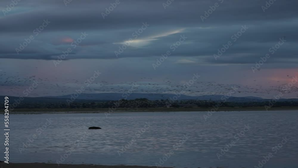 Migrating birds over a lake during a cloudy sunset. Migrating birds over a lake during a cloudy sunset.