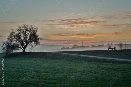 Morgens an der Elbe in Dresden 004 photo