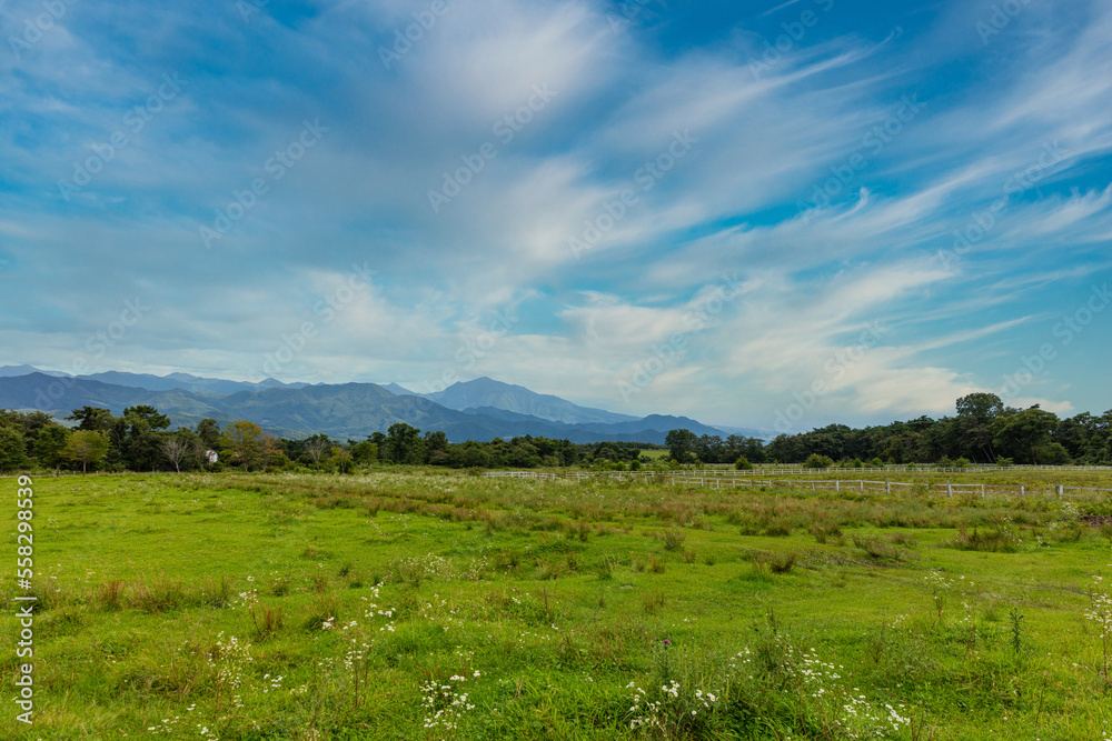 八ヶ岳高原の牧場