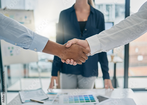 Handshake, office and business people with corporate deal, agreement or partnership with success. Meeting, professional and businessmen shaking hands for welcome, greeting or company onboarding.