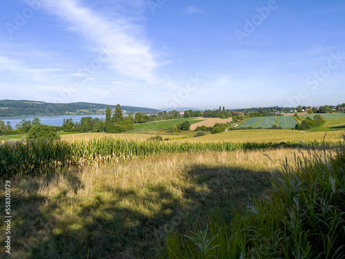 The green fields at Gr  fensee in Switzerland.