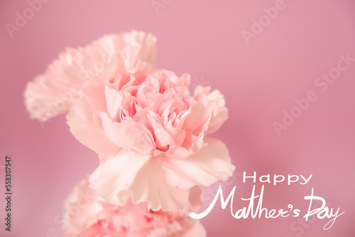 Mother's day concept floral background. Happy Mother's day lettering on beautiful pink Carnation flower and pink background. 