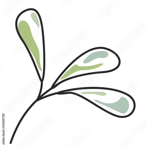 hand drawn shapes floral design elements Exotic jungle leaves. Abstract contemporary modern leaf
