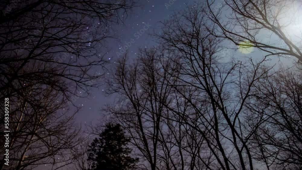Timelapse of stars and clouds behind trees at night in Kentucky Timelapse of stars and clouds behind trees at night in Kentucky