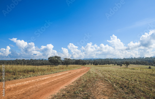 panorama panoramic of green pasture countryside road.