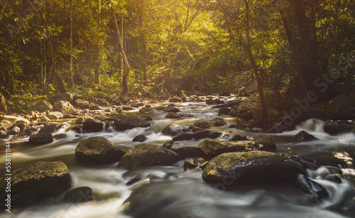 peaceful, serene natural scenery with warm, low lighting.