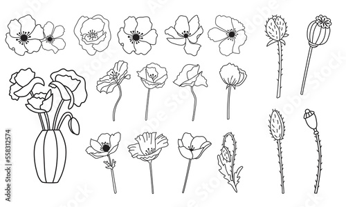 Set of vector anemone flowers, black and white line illustration, botanical field poppies suits for plotter cutting