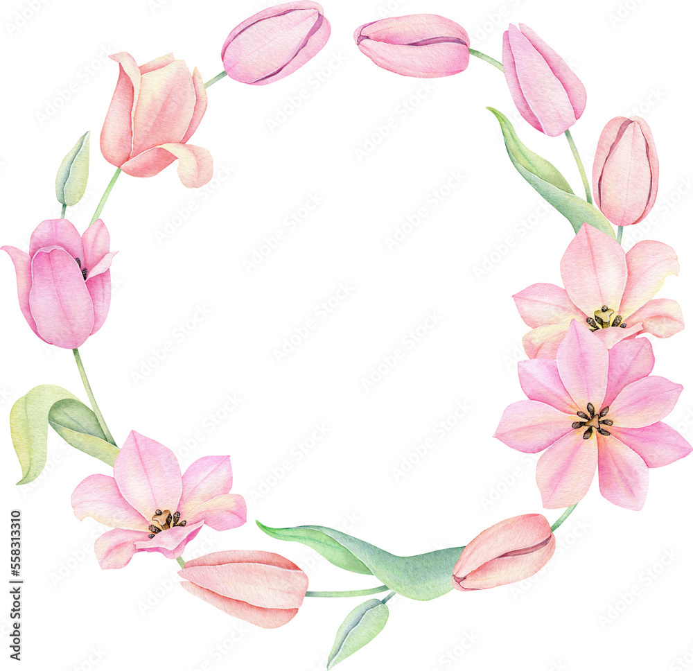 Watercolor pink tulip. Spring flowers isolated on white background. Floral Bouquet, Wreath, Frame. Decorative design elements.