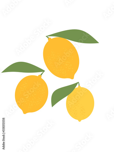 Set of lemon icon logo with green leaves isolated on white background vector illustration.