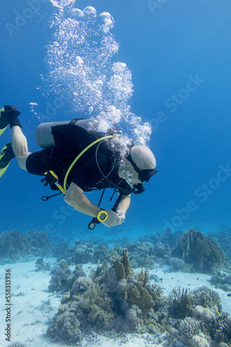 Single elderly man scuba diver with the equipment over colorful coral reef on the bottom of tropical sea, underwater landcape