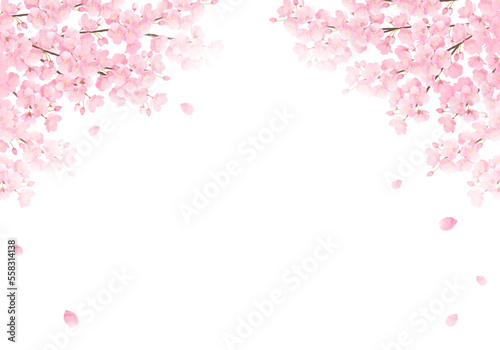 水彩の桜のベクターイラスト背景