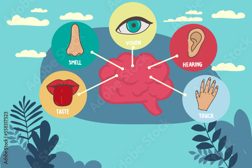 Five human senses line icons set. Vision, smell, hearing, touch, taste icons. Human sensory organs. Eye, nose, ear, hand, mouth icon set.