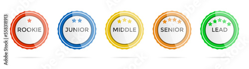 Set of career level medal badges. Skill level formation photo