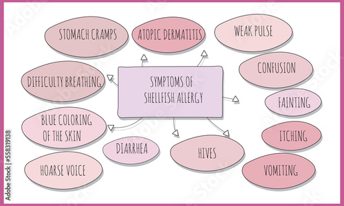 symptoms of  Shellfish allergy.  Vector illustration for medical journal or brochure. 
