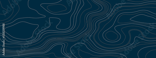 Abstract topographic contours map background. Topography lines and circles background. Blue topographic map background.