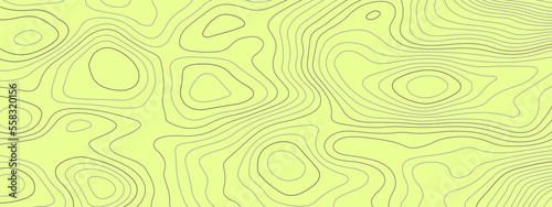 The stylized colorful abstract topographic map with lines and circles background. Abstract topographic contours map background. Topographic map patterns, topography line map.