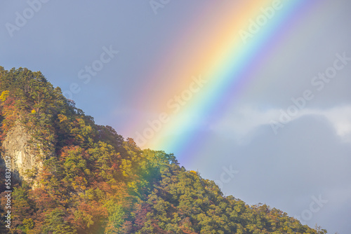 宮城県 鳴子峡に架かる虹と紅葉 