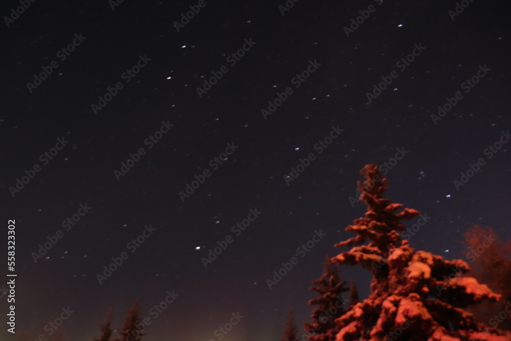 Fototapeta premium Stars in the sky
