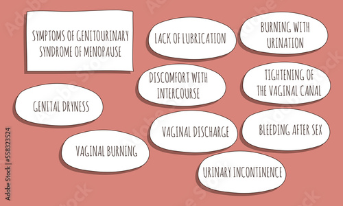 symptoms of Genitourinary syndrome of menopause.  Vector illustration for medical journal or brochure. 