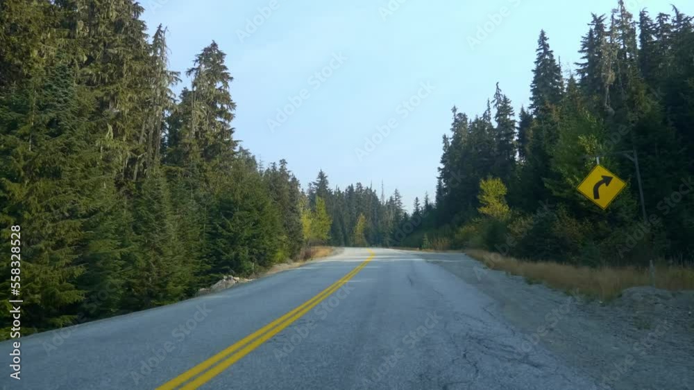 Driving On A Highway With Dense Conifer Forest Park In The Daytime. POV Driving On A Highway With Dense Conifer Forest Park In The Daytime. POV