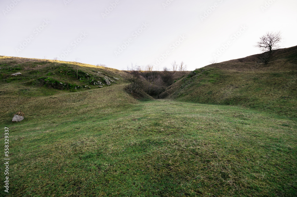 nature pasture in cold weather, landscape nature pasture in cold weather, landscape