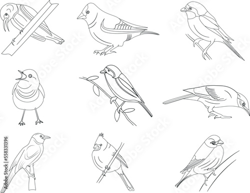 set of hand drawn birds