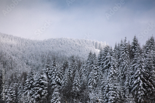Beautiful winter landscape ...